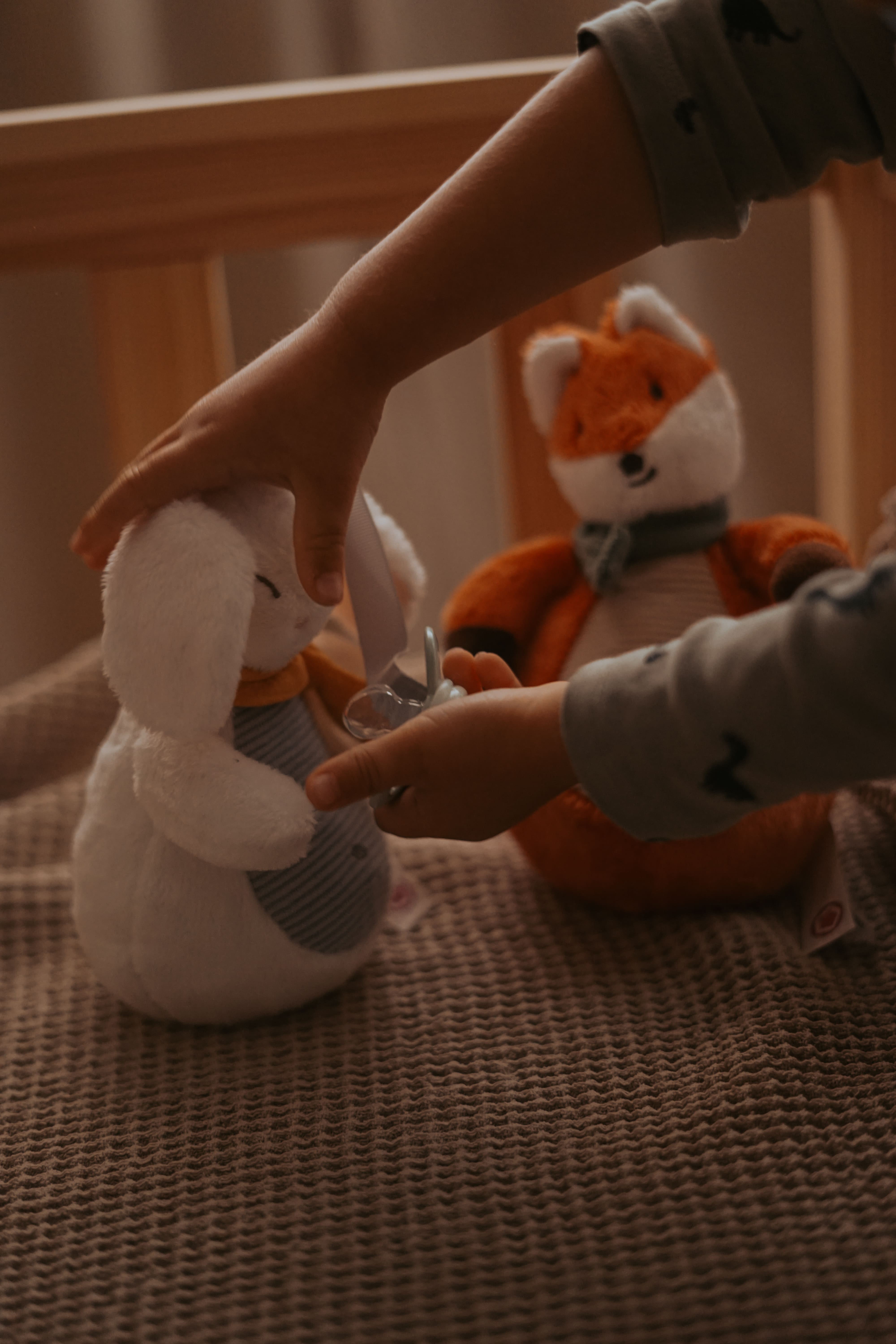 Soother Keeper – Bunny & Fox