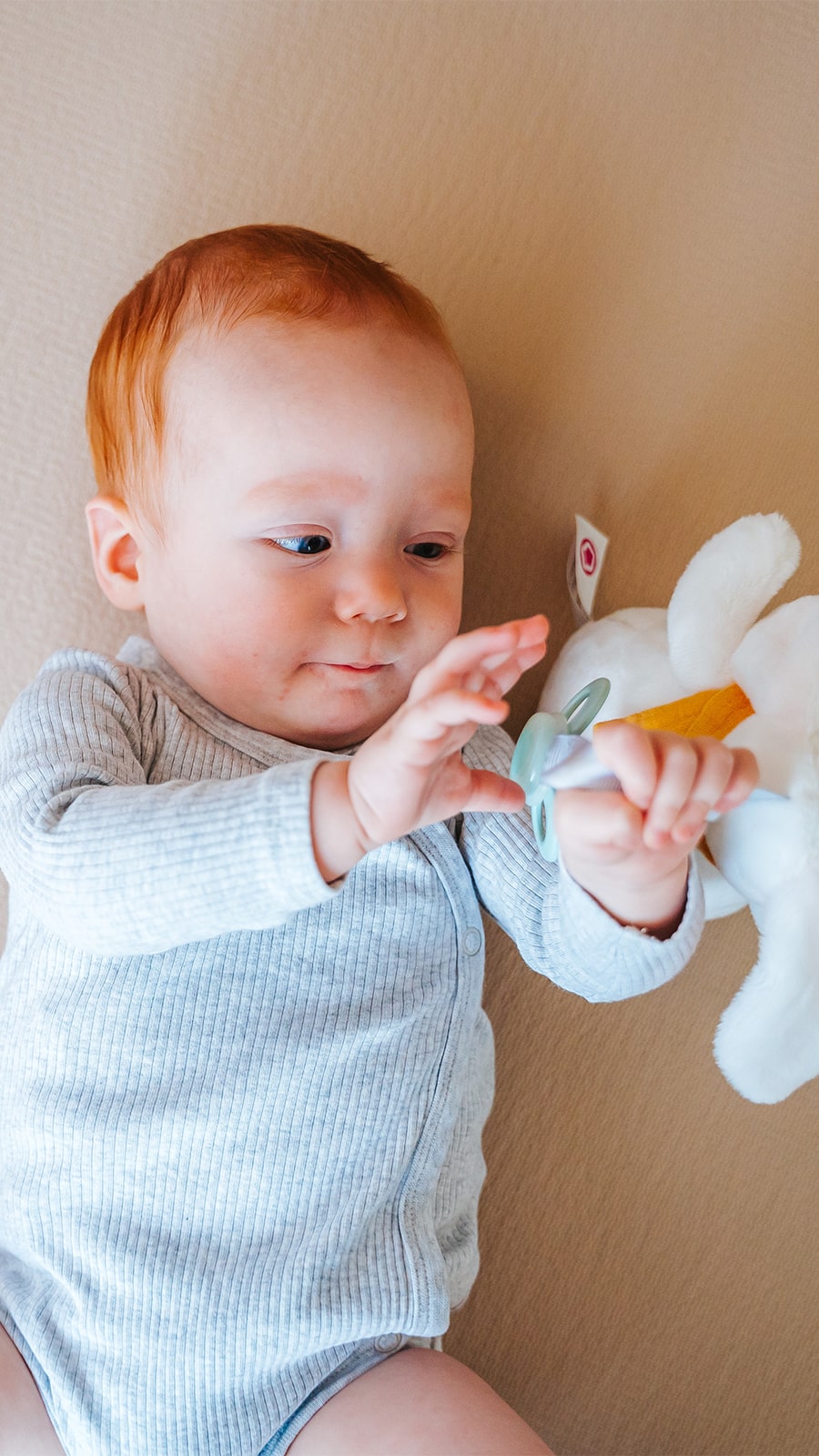 Soother Keeper – Bunny & Fox